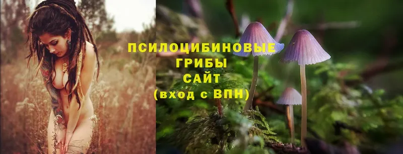 Псилоцибиновые грибы Magic Shrooms  Долинск 